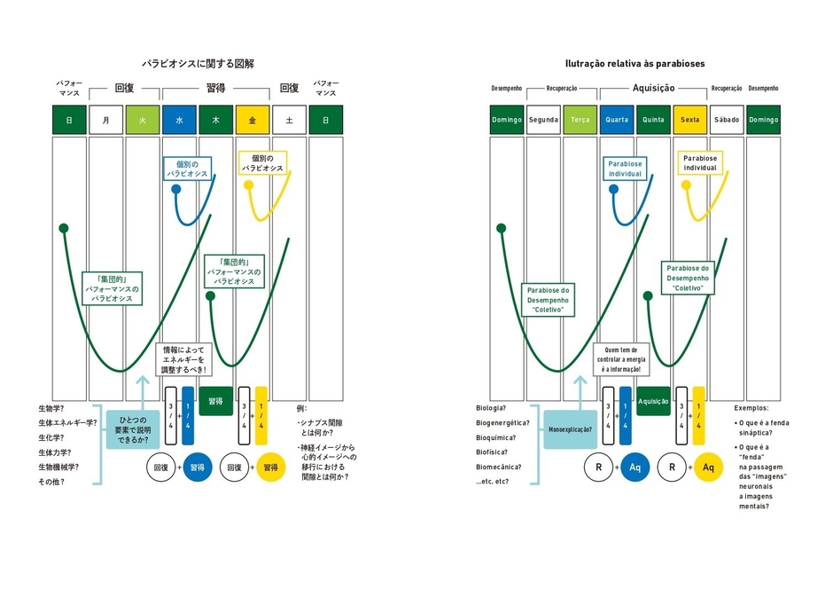 パラビオシスに関する図解