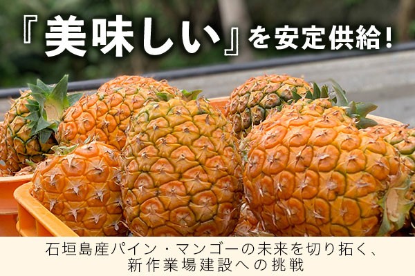 石垣島産フルーツの魅力を全国へ！新作業場建設と商品開発によるパイナップル・マンゴーの品質向上プロジェクト