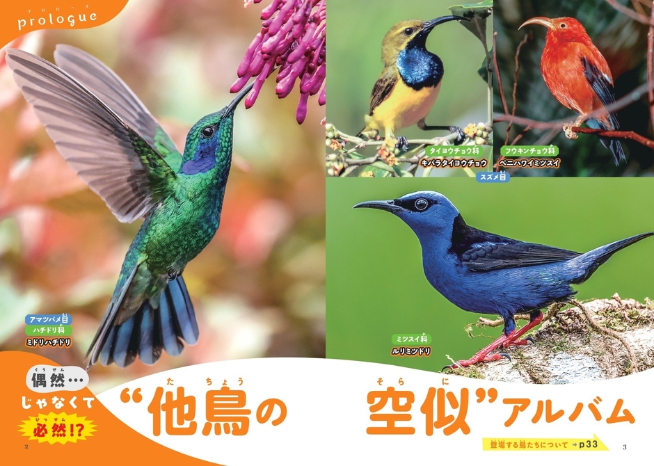 偶然…じゃなくて必然!? “他鳥の空似”アルバム