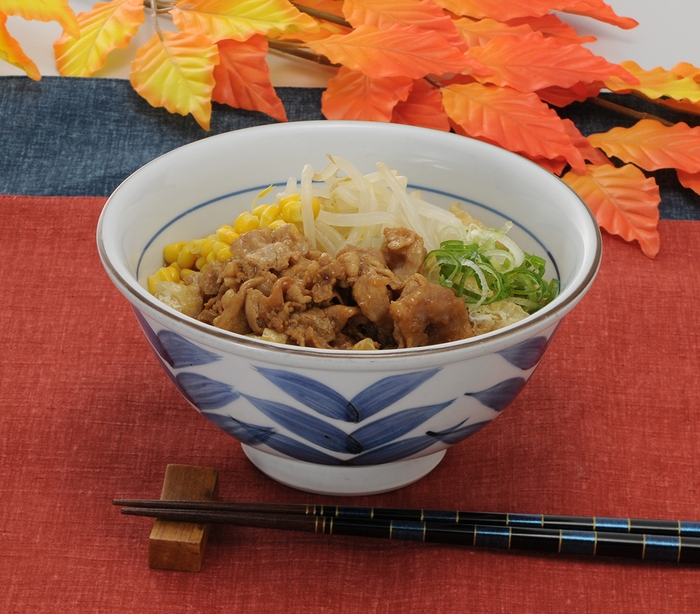 味噌うどん 並 480円(税込)