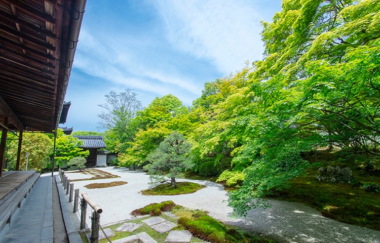 天授庵 方丈前庭