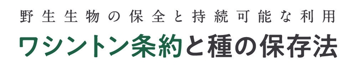 ロゴ(日本語)