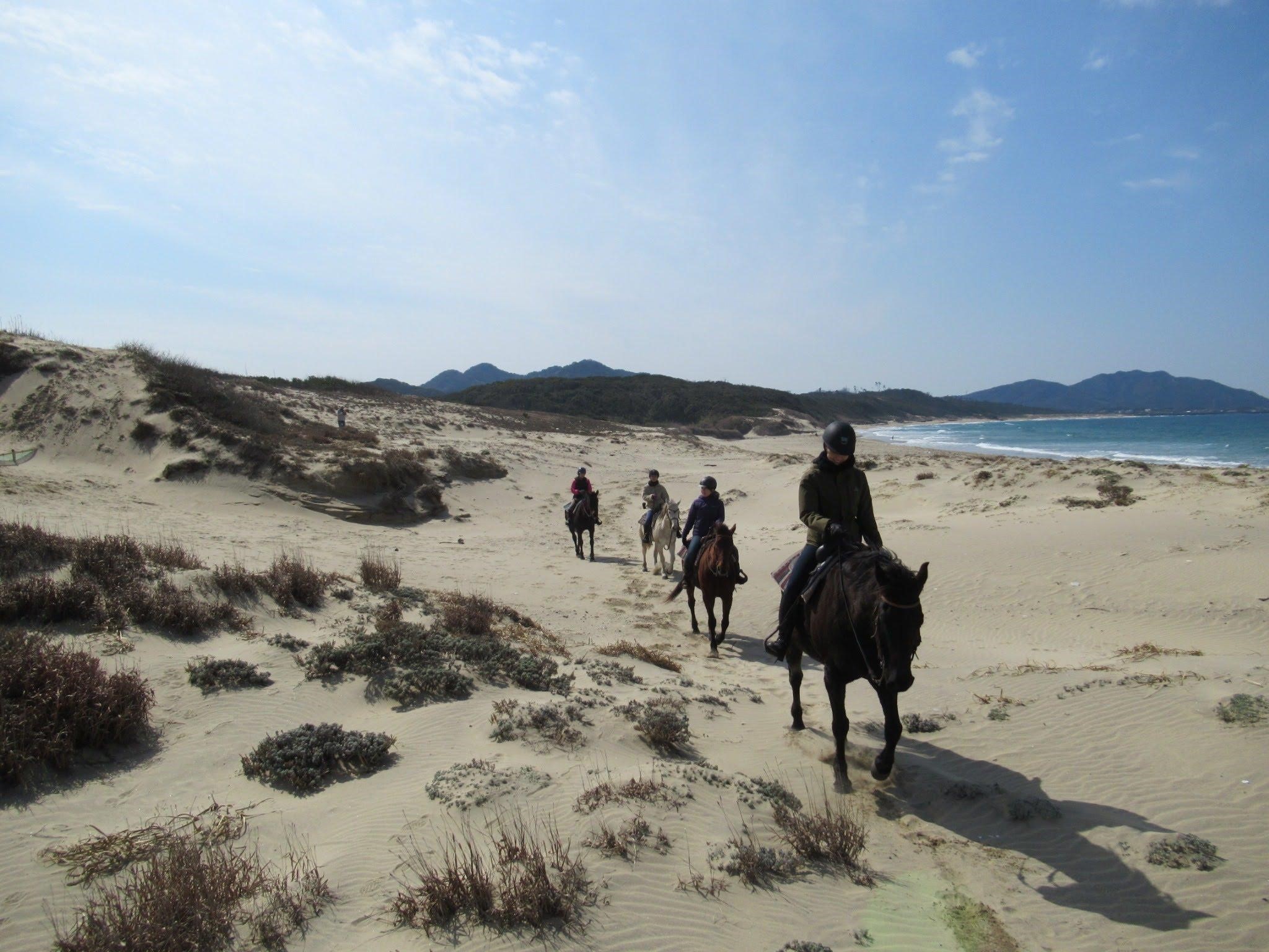 ホーストレッキング