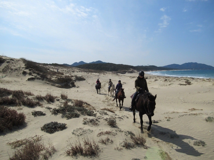 ホーストレッキング