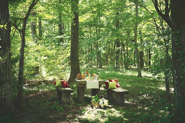 森の中のベンチ