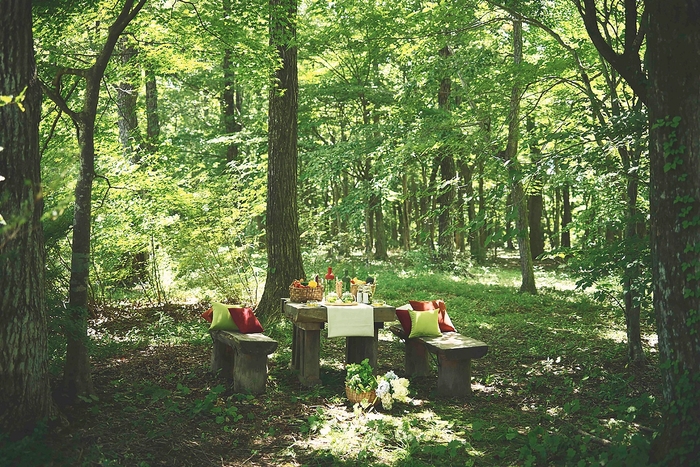 森の中のベンチ