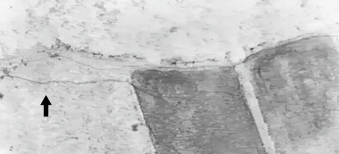 <ドローンを活用して発見した獣道　＊矢印が獣道>