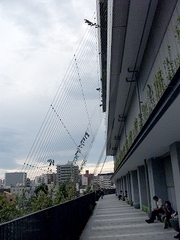 緑化ワイヤー