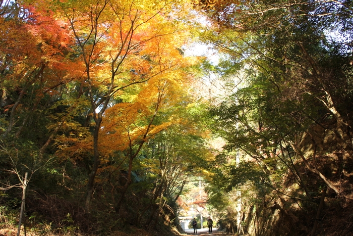 泉山磁石場の紅葉