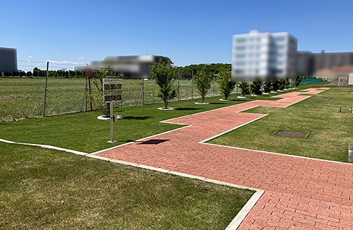 写真5：「生物多様性緑化実証フィールド」