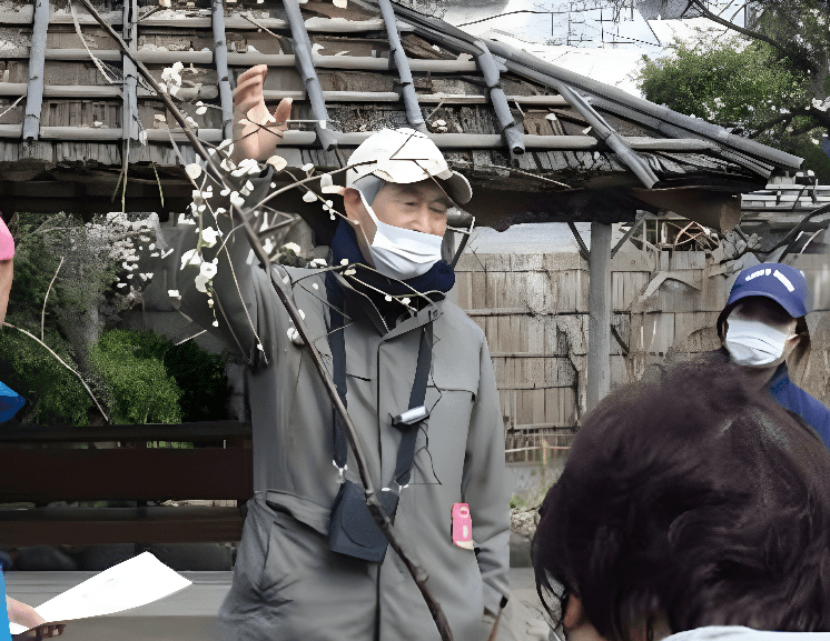 野草ウォッチング(昨年度の様子)