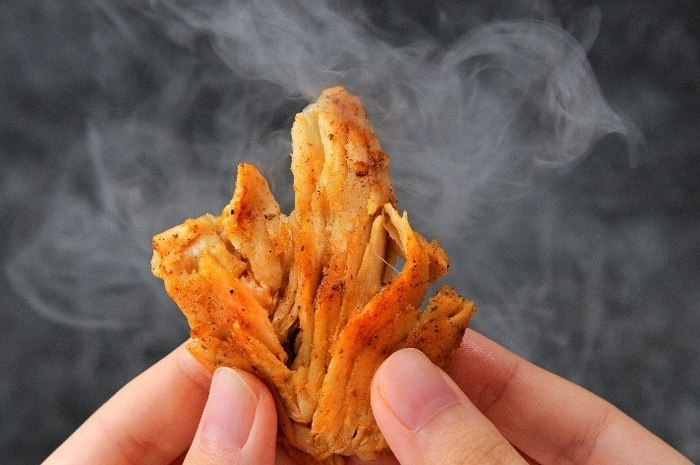 earthmeat LIKE CHCIKEN!?　画像