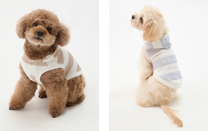 コットンモーダル2ボーダーフーディ