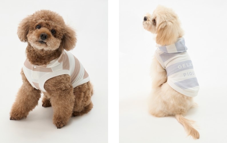 コットンモーダル2ボーダーフーディ