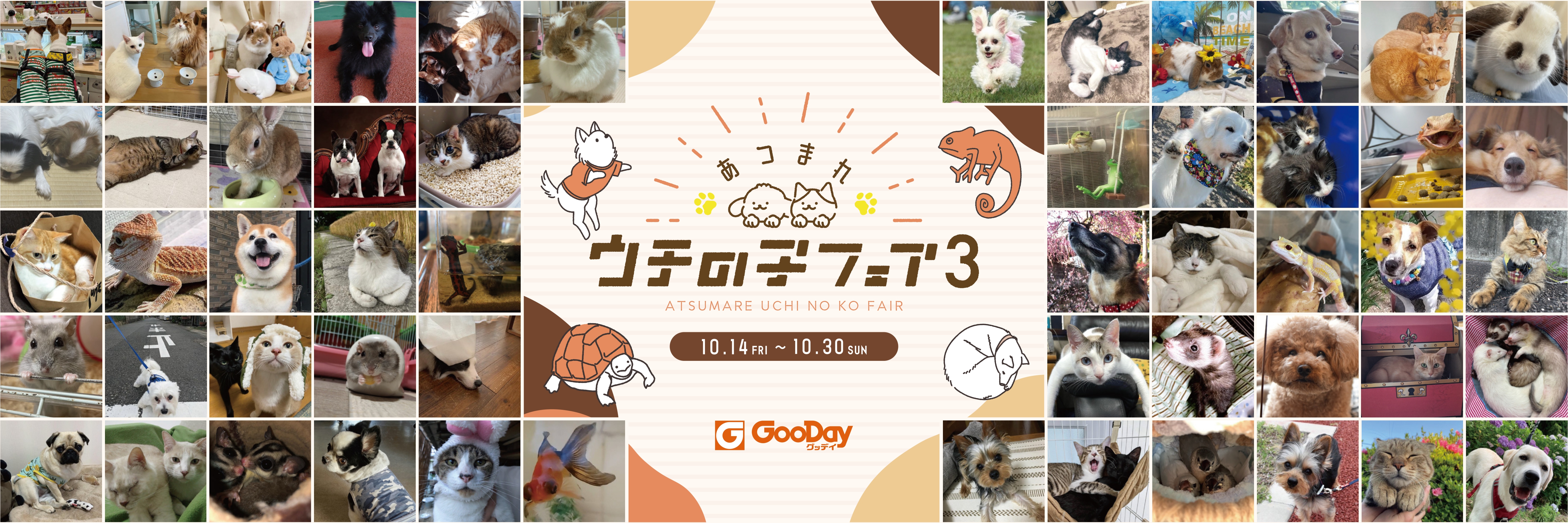 みんなのワンちゃんネコちゃん大集合グッデイ『あつまれ ウチの子フェア3』開催！