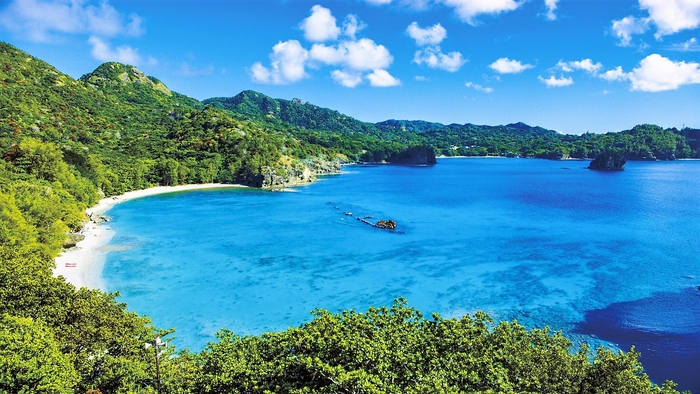 場面写真(濱江丸)