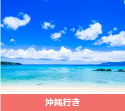 人気路線 沖縄行き