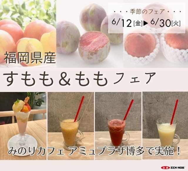 ~甘酸っぱさとあふれる果汁!~みのりカフェ博多店で「福岡県産すもも&ももフェア」を6月12日(金)~6月30日(火)まで開催