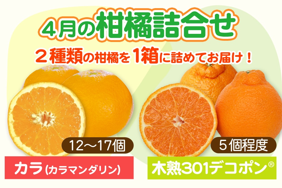 旬のミカンを一度に味わえるちょっと贅沢な詰め合わせ！ 産地直送通販