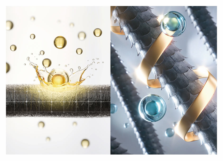 Wタンパク質処方