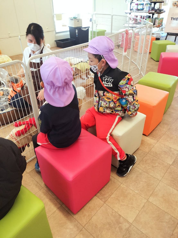 保育園の招致(2)