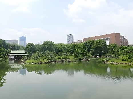 園内から見える 中村中学校・高等学校（写真右手）