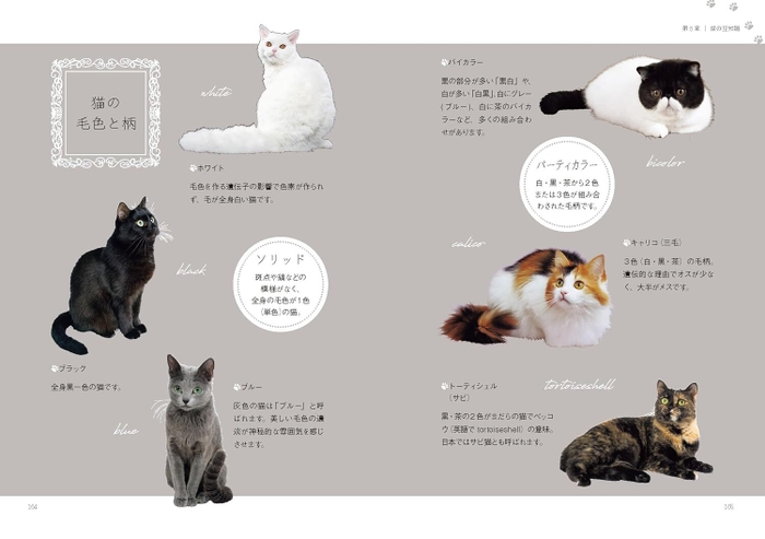 小さな猫の本_誌面3