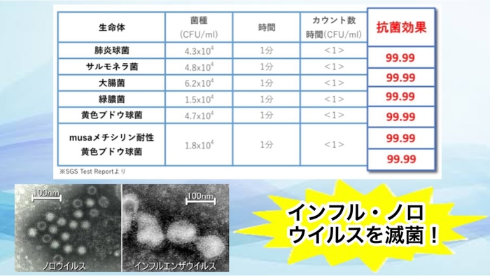 細菌・ウイルス表