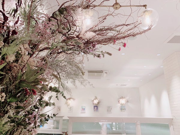 lohasbeans coffee 店内装飾