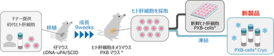 (1)