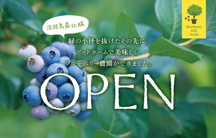 カバー