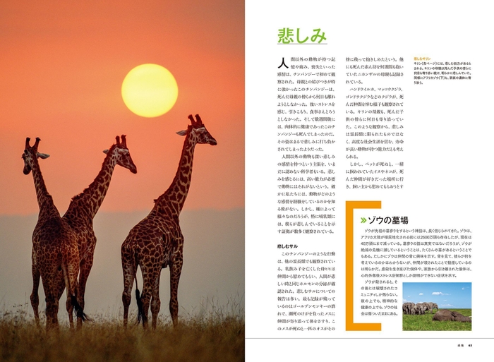 「動物の心 知性 感情 言葉 社会」