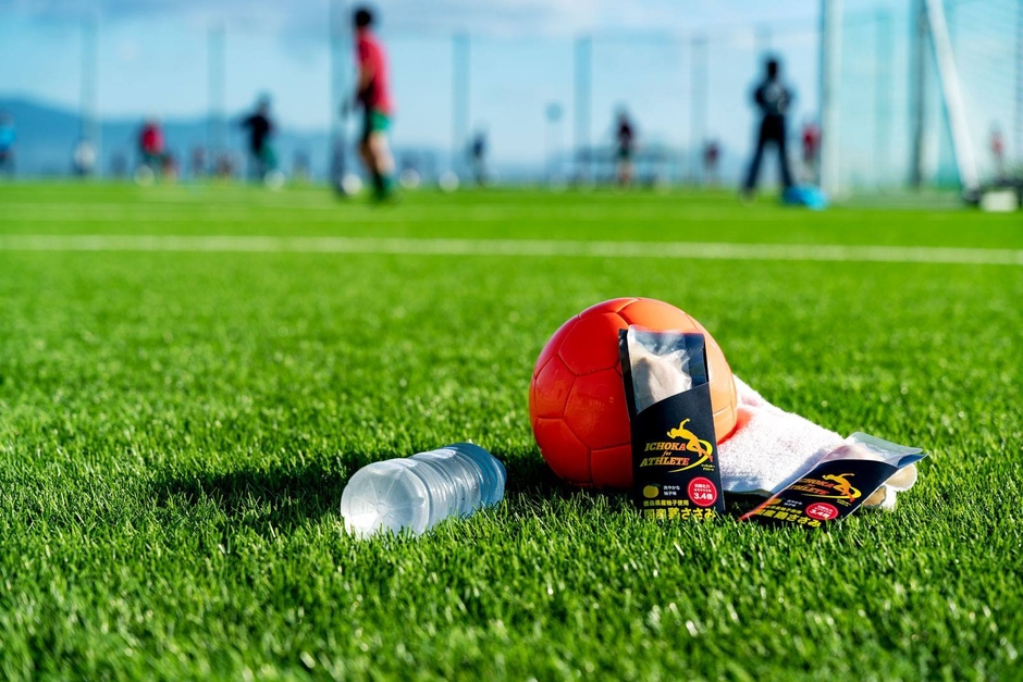 ささみ(イメージ(1))