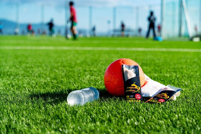 ささみ(イメージ(1))