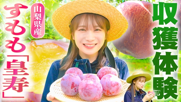 ＹｏｕＴｕｂｅ番組「ゆるふわたいむ」