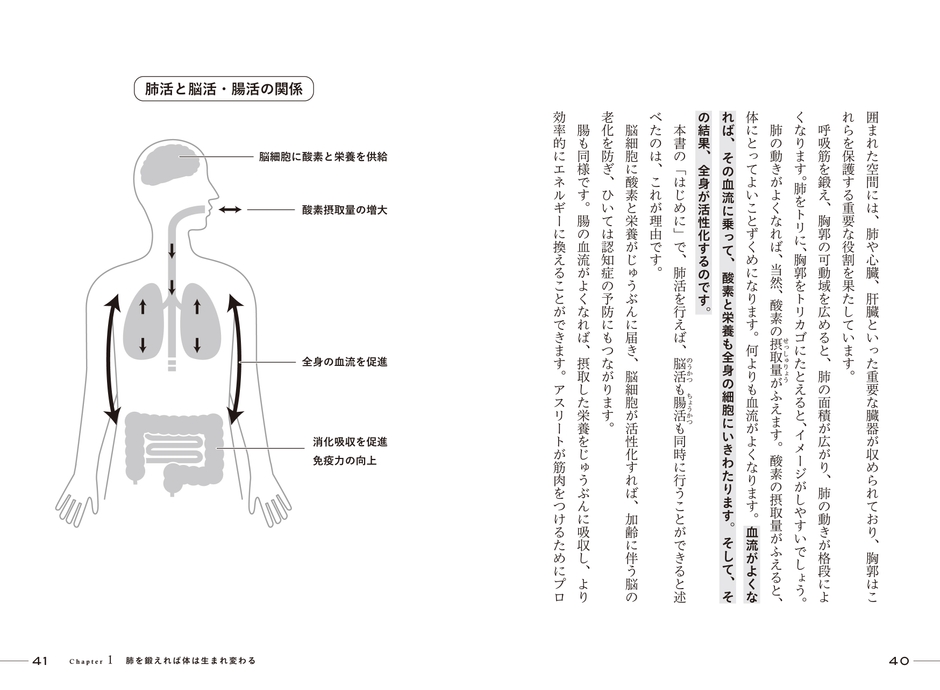 肺活と脳活・腸活の関係 