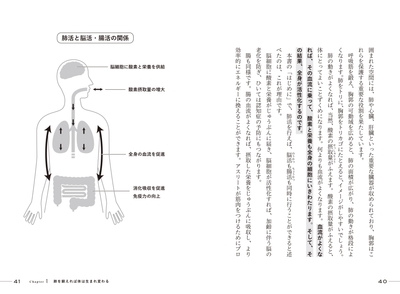 肺活と脳活・腸活の関係 