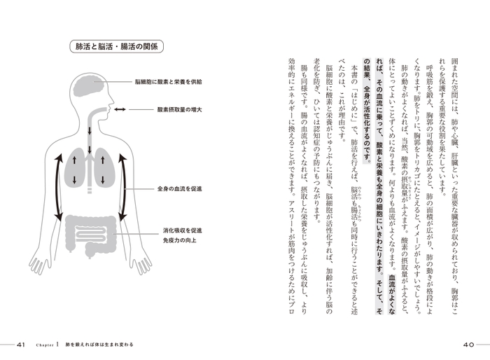 肺活と脳活・腸活の関係 