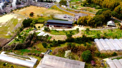 東浦町の約5,000坪の農地