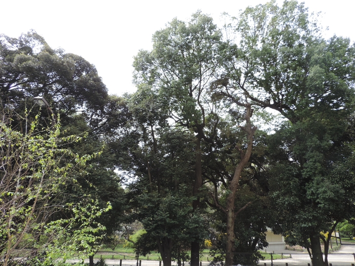 施設前の写真(新宿御苑)