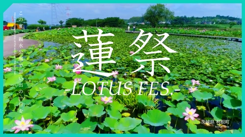 【7/8（土）利根親水公園】利根町観光協会主催『TONE LOTUS FES.2023 ～蓮祭～』開催！