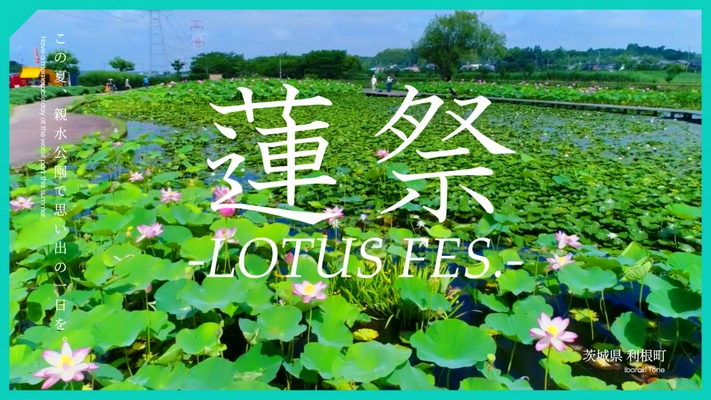 【7/8（土）利根親水公園】利根町観光協会主催『TONE LOTUS FES.2023 ～蓮祭～』開催！