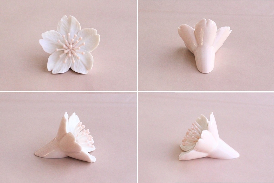 ピンク( 背面とめしべがピンク色)