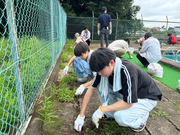 プールサイドの雑草を取り除く学生たち