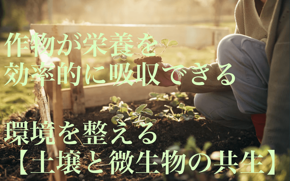 作物が栄養を効率的に吸収できる