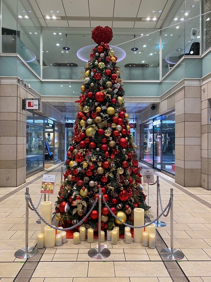 コピス吉祥寺クリスマスツリー