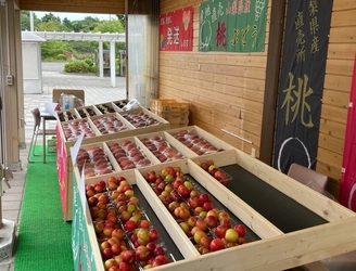 富士川サービスエリア(下り線)に山梨県の美味しい果物を そろえた「フルーツ村」が2021年6月26日にOPEN！