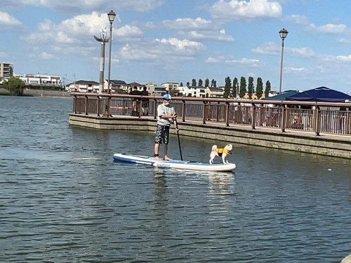 過去イベントの様子 SUPと犬