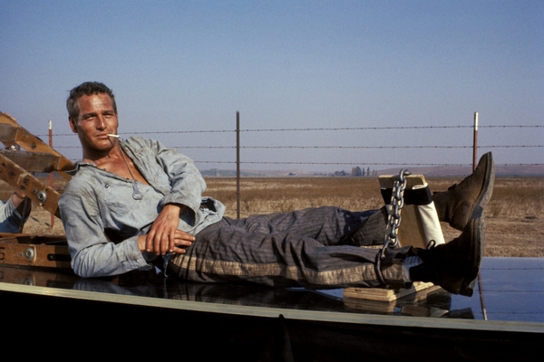 © 2025 Warner Bros. Entertainment Inc. All rights reserved.