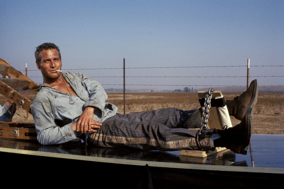 © 2025 Warner Bros. Entertainment Inc. All rights reserved.